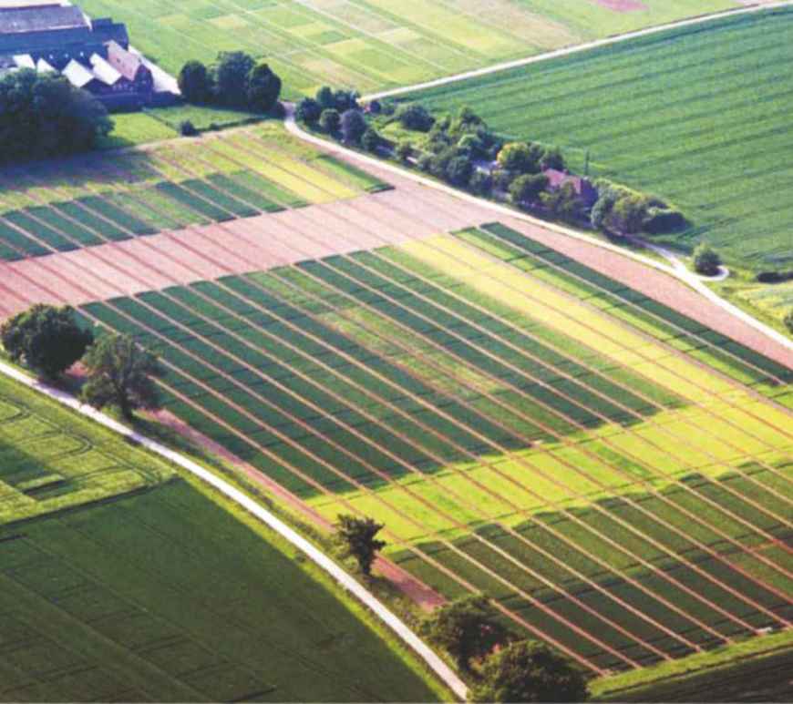 bio-mineral fertilizers