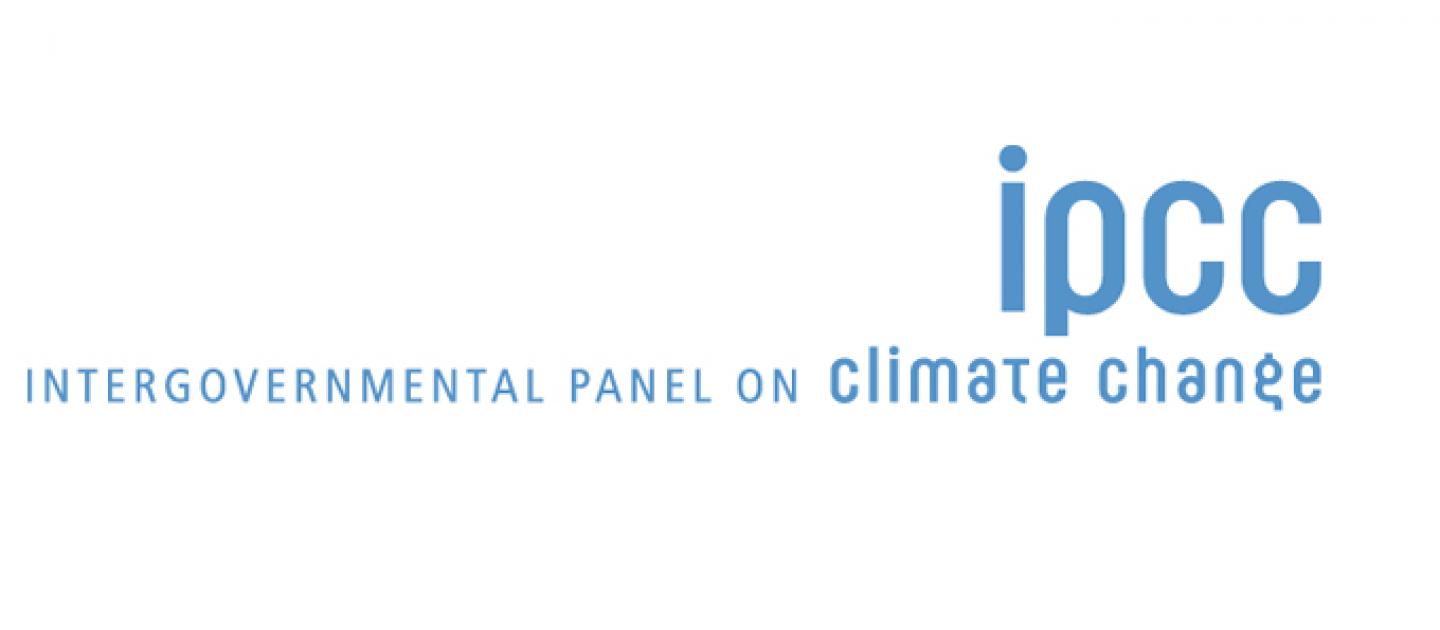 un report biofuel vs food debate
