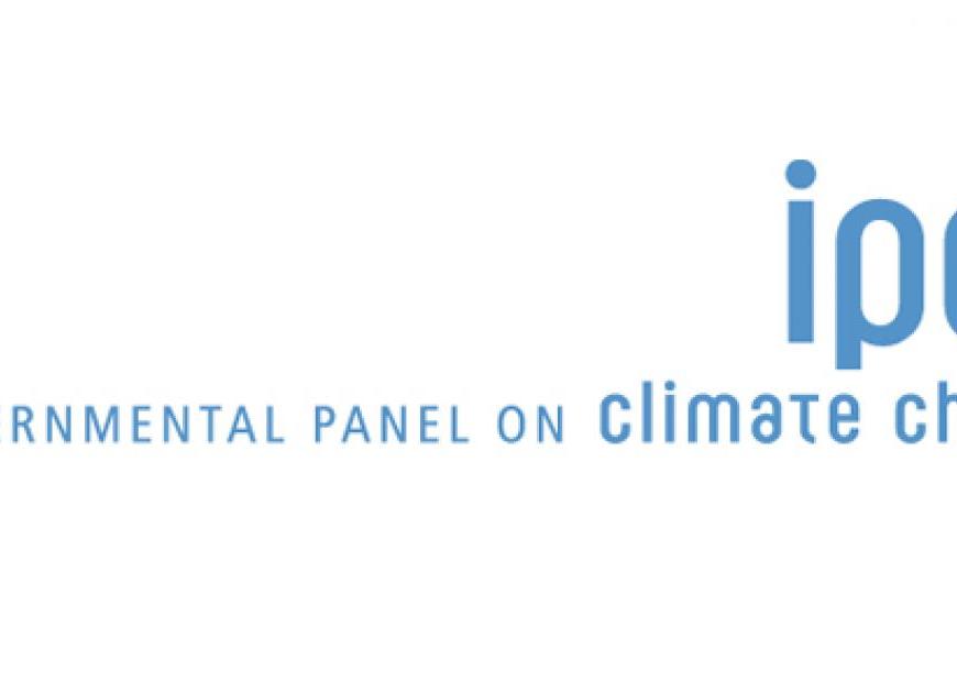 un report biofuel vs food debate