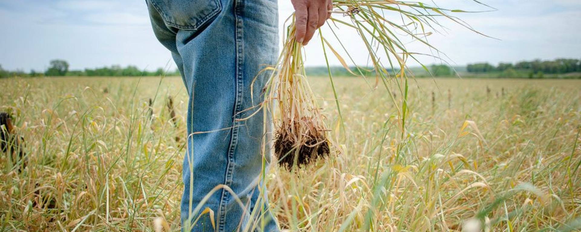 US Biofuel plan backlash agriculture