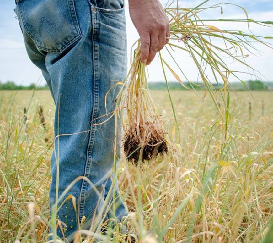 US Biofuel plan backlash agriculture